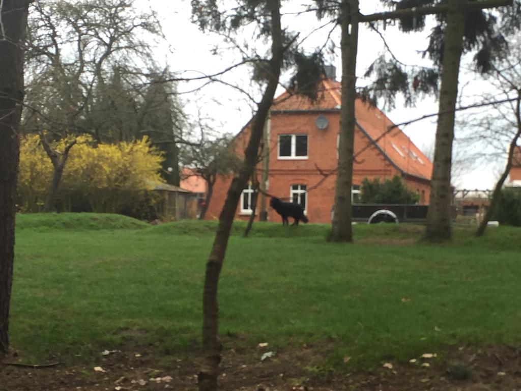 Ferienwohnung Garten Eben Rullstorf 外观 照片